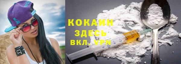 индика Алзамай