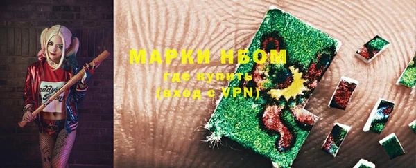 индика Алзамай