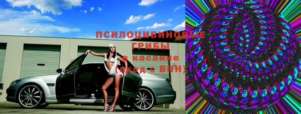 индика Алзамай