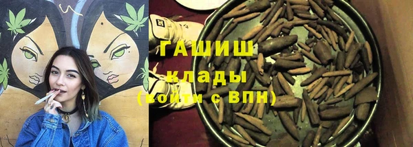 индика Алзамай