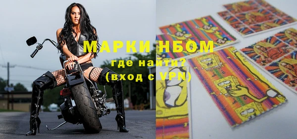 индика Алзамай