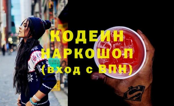 индика Алзамай