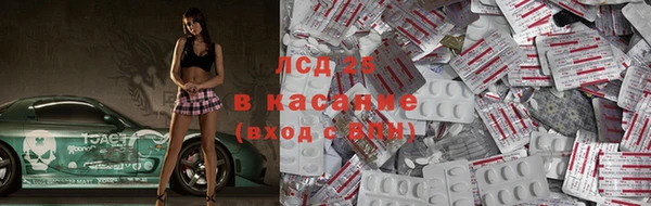 индика Алзамай